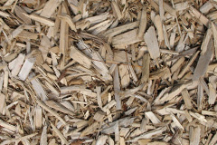 biomass boilers Dalfoil
